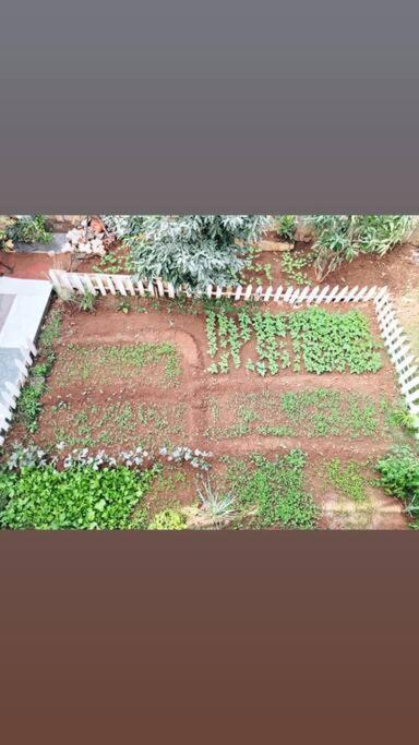 Saifarms Private Farmhouse Between Pune & Lonavala Nethersole Dam Exterior foto